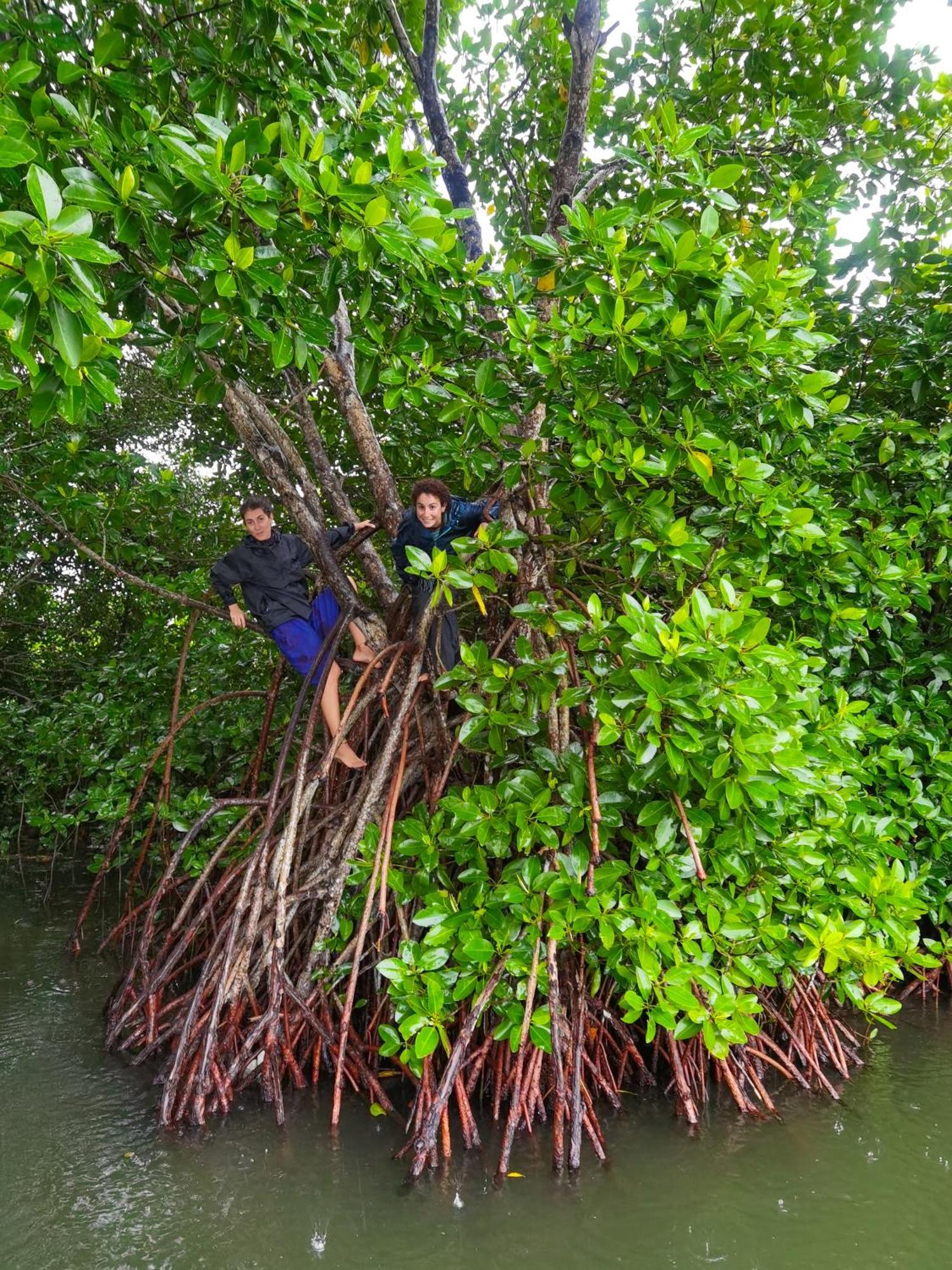 Santa Maria Hostel Munroe Island Mundrothuruth 外观 照片